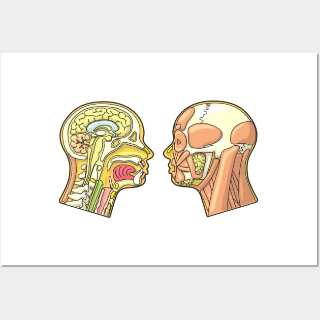 Human Head Anatomy Diagram Wall Art by taylorcustom